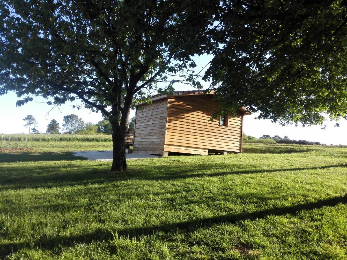 Le Chalet Douillet Saint-Genies Luaran gambar